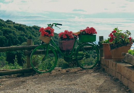 Altes Fahrrad