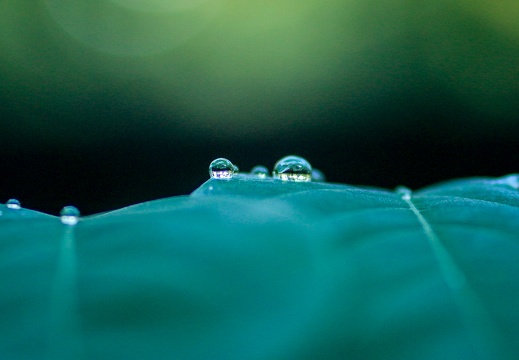 Doppeloptik