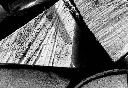 Ich und mein Holz