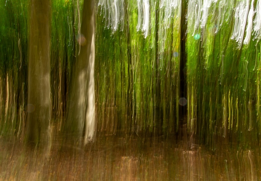 Wald ICM