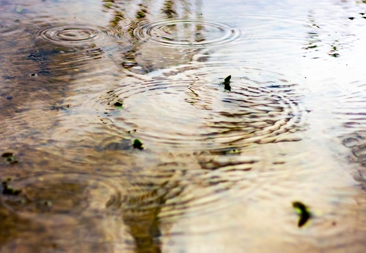 Puddle